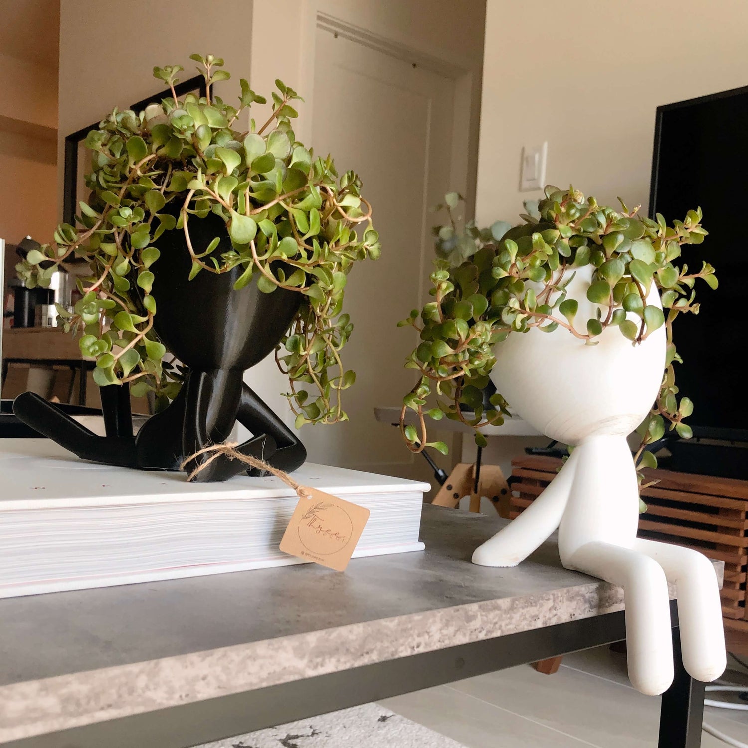 Lola Collection - 3D Printed Planters